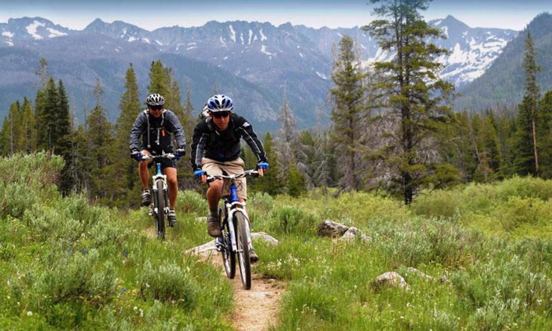 #421 - Pet-friendly Steps From Gondola & Village Shops Appartement Mammoth Lakes