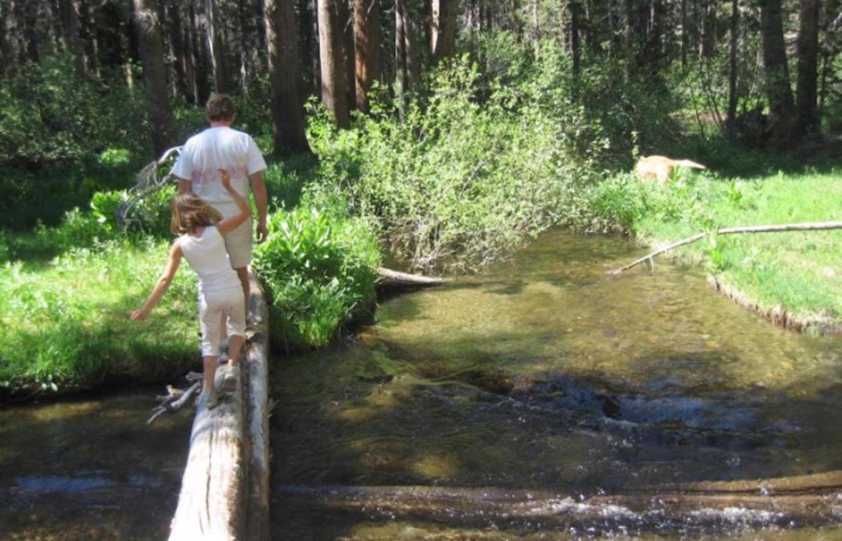 #421 - Pet-friendly Steps From Gondola & Village Shops * Mammoth Lakes