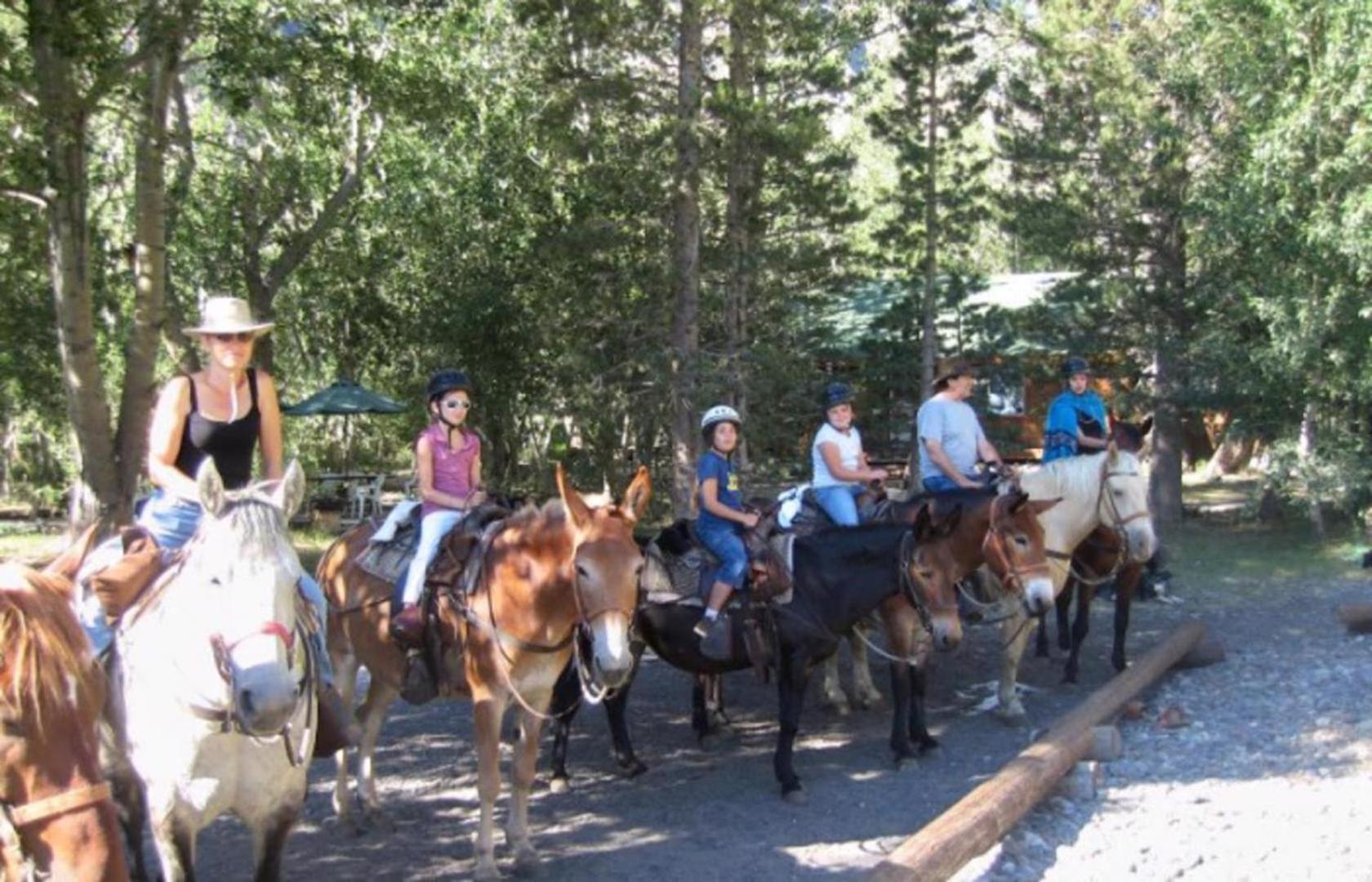 #421 - Pet-friendly Steps From Gondola & Village Shops * Mammoth Lakes